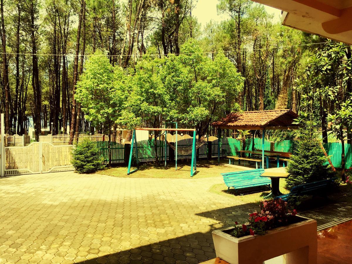 Hotel "Qeti" Shekhvetili Exterior photo